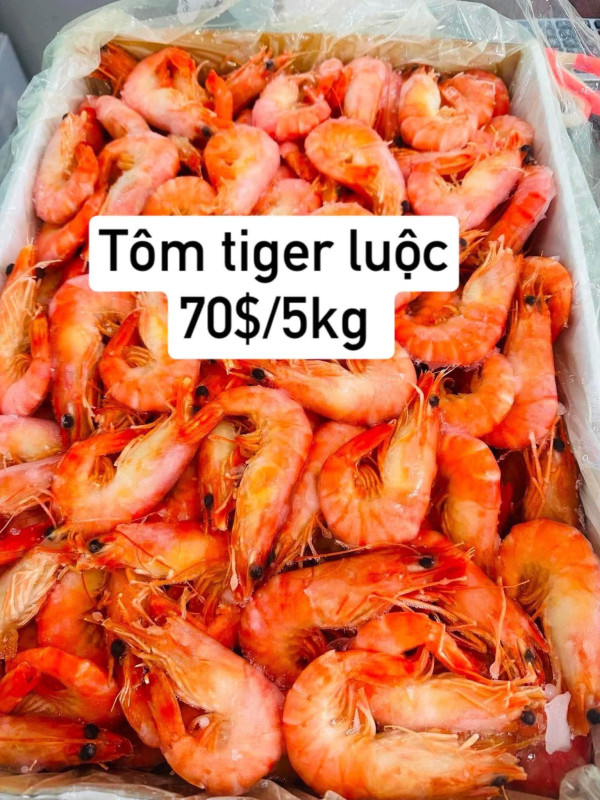 Tôm Thái luộc 5kg
