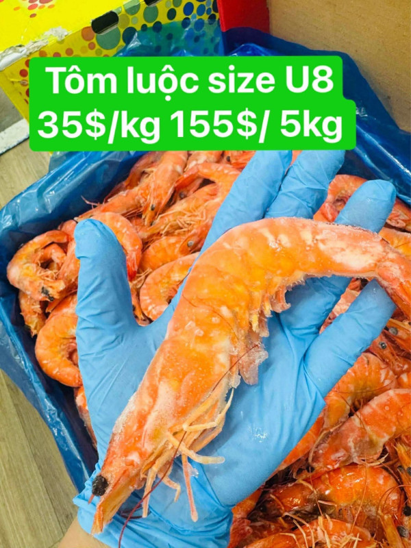 Tôm luộc U8 5kg