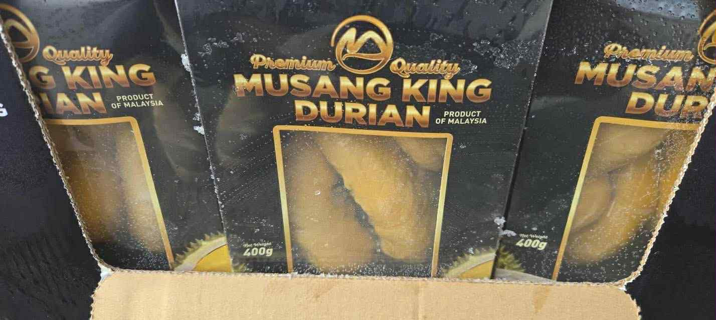 sầu riêng musangking Don 29$