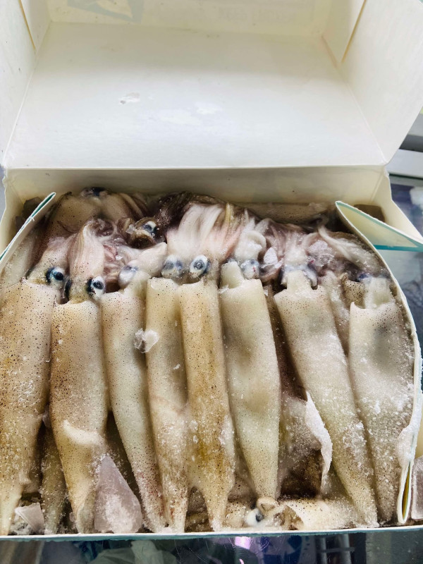 Mực ống nhỏ 2.2kg 36$