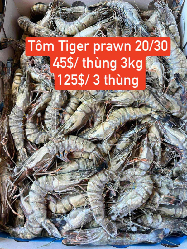 Tôm tiger prawn size 20/30 3 thùng
