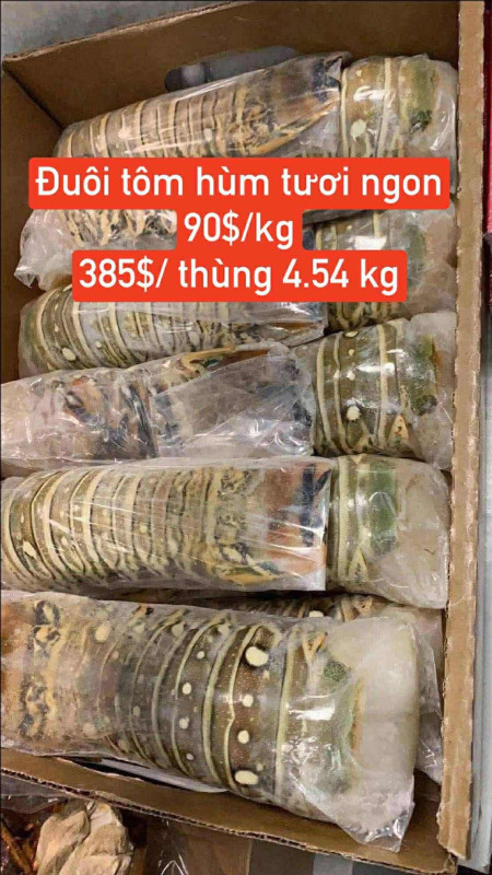 đuôi tôm hùm 385$ 4.54kg