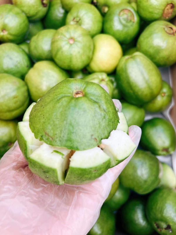 Ổi tươi không lưới 12$