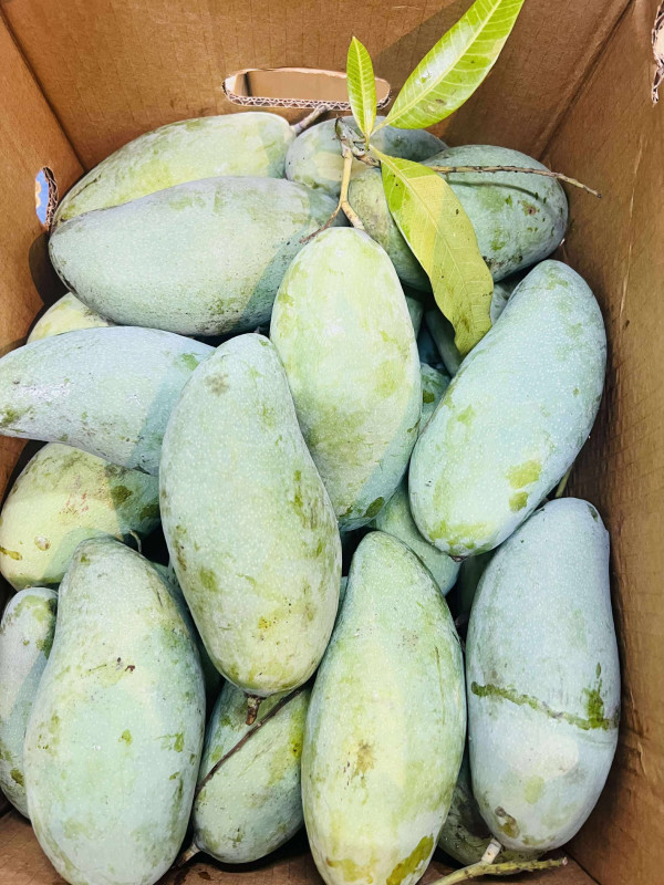 Xoài Keosavoy mix size