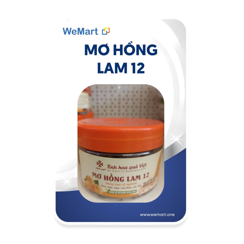 Mơ Hồng Lam 12
